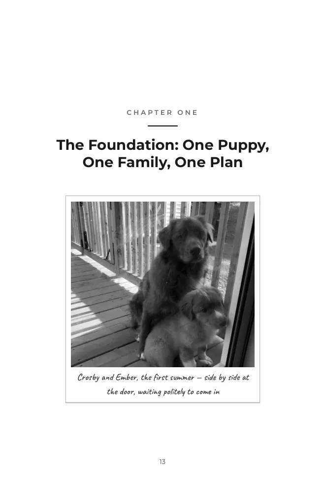 Chapter 1 opening page — Welcome to the family