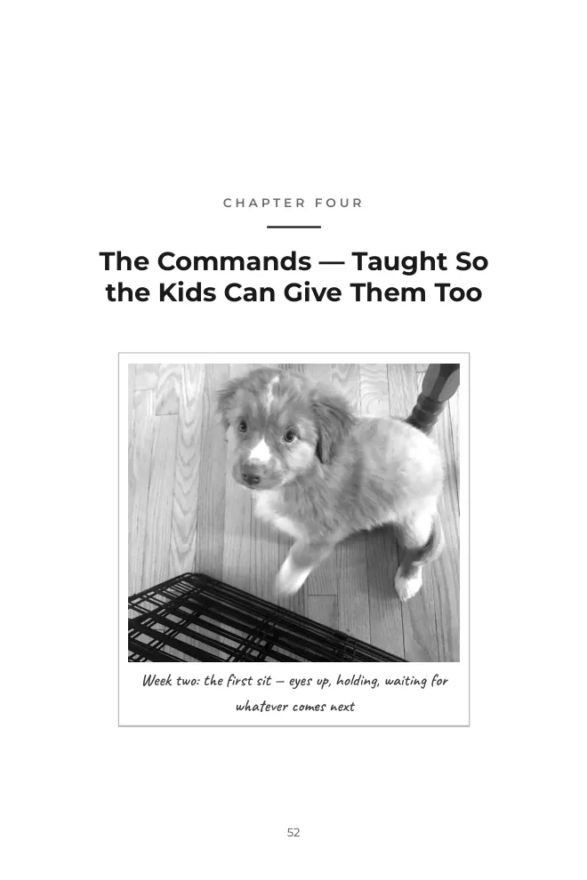 Teaching Sit — step-by-step page with photos