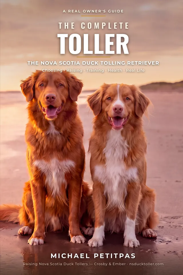 The Complete Toller book cover &mdash; two Nova Scotia Duck Tolling Retrievers on a golden-hour beach